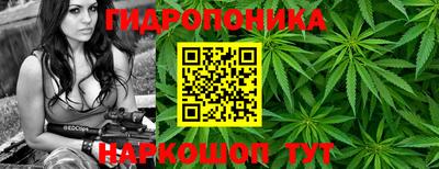 бошки Анжеро-Судженск